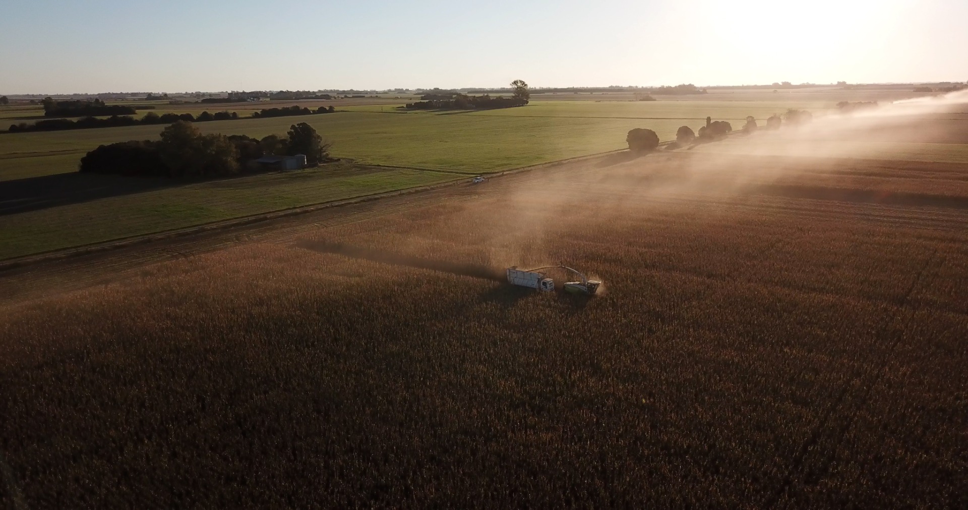 Industrias y Agro
